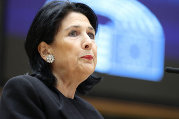 presedinta georgiei critica reactia lenta a europei si ii cere sa sustina apelul la noi alegeri georgienii inca asteapta 6762b3a6b39b6