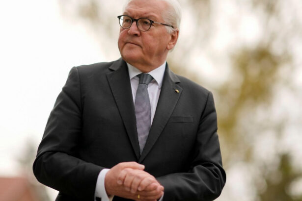 presedintele germaniei vorbeste despre influenta externa in alegeri la inceput de campanie electorala s a vazut in romania 676f130f900f2