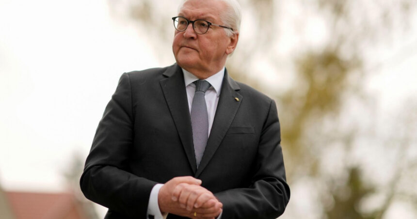 presedintele germaniei vorbeste despre influenta externa in alegeri la inceput de campanie electorala s a vazut in romania 676f130f900f2
