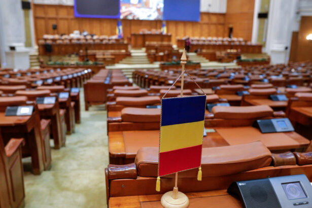 presedintele senatului in romania cum este ales si ce atributii are al doilea om in stat 674e94424db04