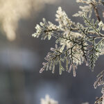 prognoza meteo pentru luna decembrie cum va fi vremea de craciun si revelion 674ec697c85d1