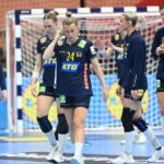 reactii lipsite de fair play dupa suedia romania 23 25 un meci pe care trebuie sa l castigam oricand frustrant avem o echipa mai buna 67533cae949ab
