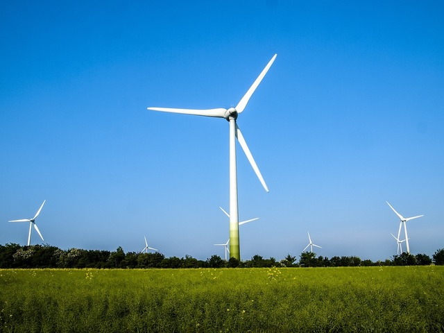 Record - Un sfert din energia Uniunii Europene provine din surse regenerabile. Care sunt țările care le utilizează cel mai mult? 1 record un sfert din energia ue provine din surse regenerabile care sunt tarile care o folosesc cel mai mult 676ea0c628dfe