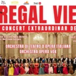 regal vienez casa de cultura a sindicatelor constanta 676cd6a7a7e41