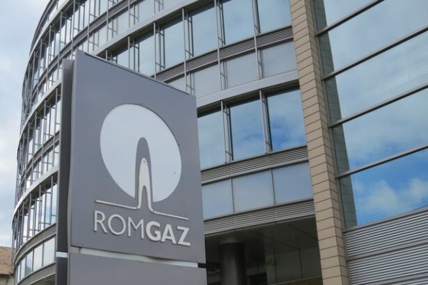 romgaz delisteaza certificatele globale de depozit de la londra lichiditatea migrase natural catre bvb 6773c36135e08