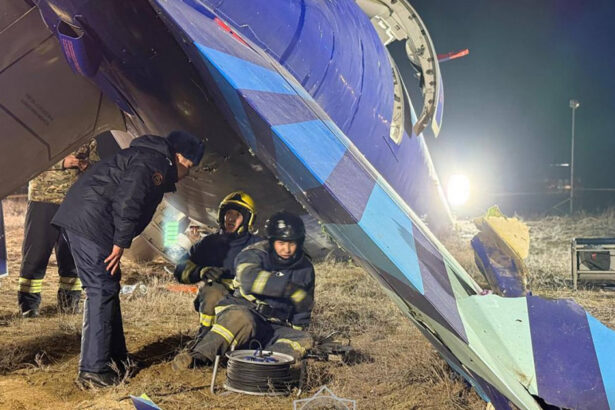 rusia vine cu propria versiune privind cauzele care au dus la prabusirea avionului azer ce a declarat seful rosaviatia 676eaaa407a08