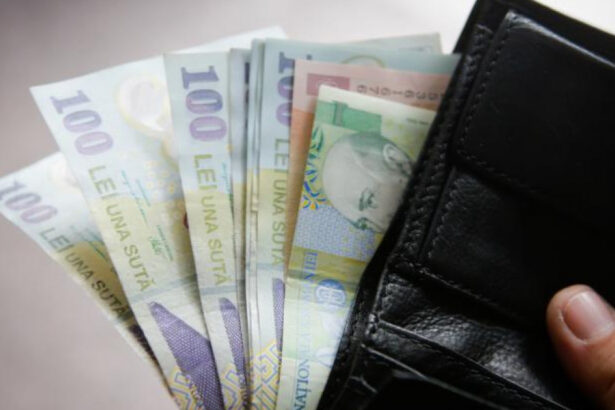 salariul mediu net a fost de 5 268 de lei in luna octombrie cu cat a crescut fata de luna precedenta ins 675adb905d1f4