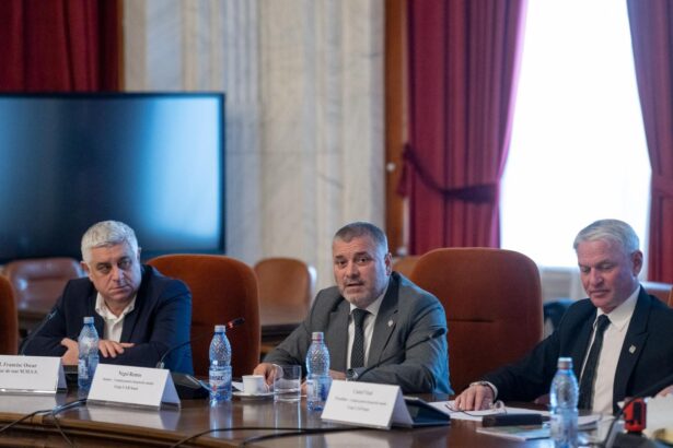 senatorul negoi usr crede ca grebla de la aep este un pericol la adresa democratiei din romania 67586ca59d9ca