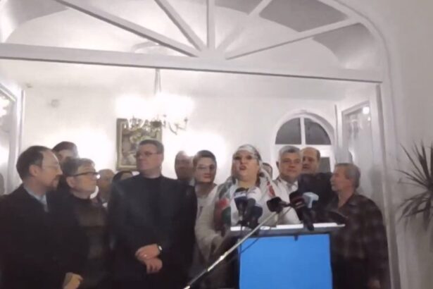 sosoaca ziua nationala a romaniei a fost fraudata depun plangeri penale impotriva tv urilor si firmelor de sondare video 674cbd4c155dc