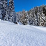 temperaturi peste cele obisnuite in aceasta perioada incepand de saptamana viitoare si pana la inceputul lunii ianuarie 6752e6763f874