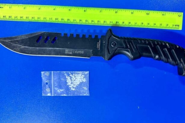 tineri prinsi de jandarmii constanteni cu arme albe si droguri 6773fd1ddab06