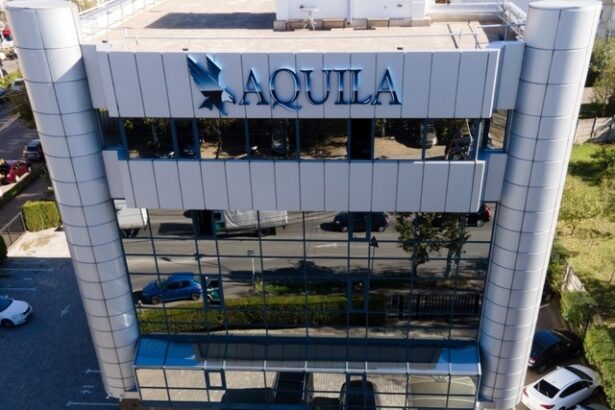 tranzactie romanii cumpara din nou in strainatate aquila preia una dintre cele mai importante companii din ungaria vom deveni un jucator activ in tara vecina 675c604360416