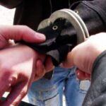 trei barbati prinsi in flagrant de politistii constanteni dupa ce au taiat ilegal salcami 6770019c740f4