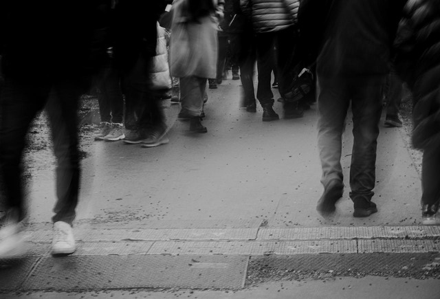 trei noi meserii recunoscute in romania 67599327a8382