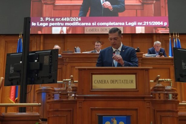 tutuianu psd beneficiile intrari in schengen sunt uriase pib ul romaniei ar putea creste cu pana la 2 anul viitor 675b0f4e0ea6c