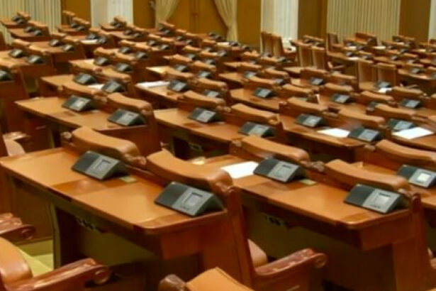 udmr obtine in premiera un mandat de deputat in judetul vaslui pentru prima data pnl nu are reprezentanti in parlament 6754728aa6d26