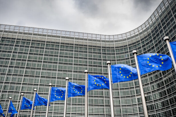 ue va implementa cel mai modern sistem digital de control la frontiera din lume cand va incepe sa functioneze 6751d6750d089