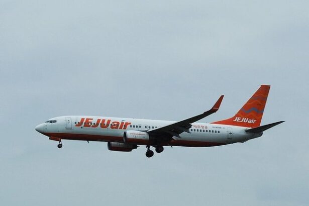un alt avion jeju air a avut probleme legate de trenul de aterizare si a facut cale intoarsa 67726e574e277