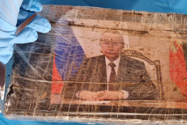 un barbat a fost prins cu pachete cu droguri de 11 milioane de dolari care aveau pe ele fotografia lui vladimir putin 675026a4e52b5