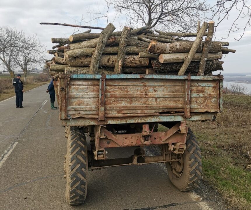 Un bărbat a fost prins de polițiștii din Medgidia furând lemne în comuna Dobromir 1 un barbat a fost prins de politistii din medgidia la furat de lemne in comuna dobromir 675c338d37b58