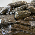 un batran de 70 de ani din timisoara prins in flagrant dupa ce a preluat un colet cu 9 kilograme de cannabis primit din spania 67655e2b01f74