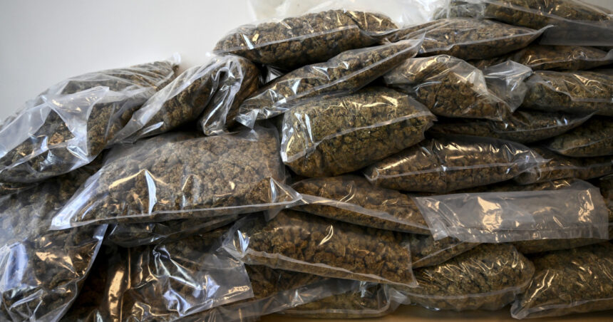Bătrân de 70 de ani din Timișoara, prins în flagrant după ce a preluat un colet cu 9 kilograme de cannabis din Spania 1 un batran de 70 de ani din timisoara prins in flagrant dupa ce a preluat un colet cu 9 kilograme de cannabis primit din spania 67655e2b01f74