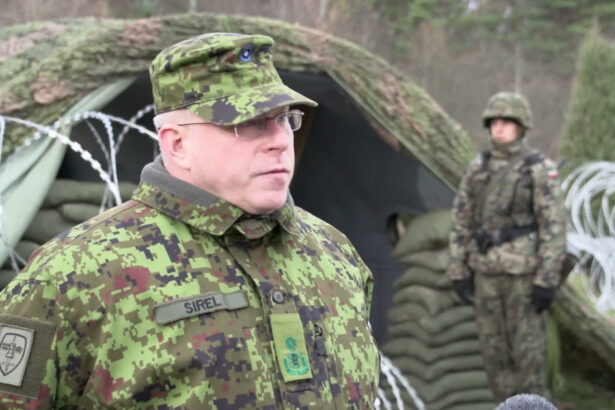 un general estonian explica cum arata linia de aparare a tarilor baltice la frontiera cu rusia nu este o linie maginot 67541a8882dc9