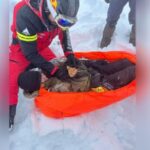 un ucrainean cazut intr o rapa in muntii maramuresului salvat dupa 5 ore de efort sustinut 6753745d80631