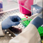 universitatea de medicina si farmacie carol davila demareaza cel mai mare proiect de dezvoltare a cercetarii genomice in romania 6761bb44e0963