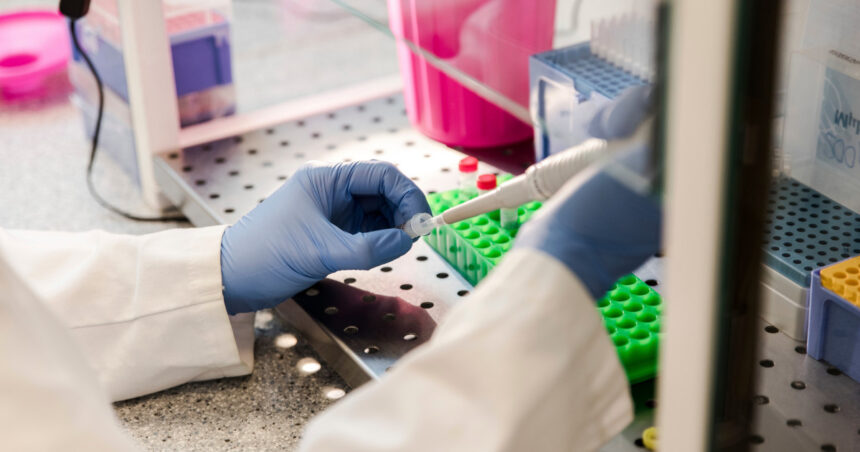 Universitatea de Medicină și Farmacie „Carol Davila” lansează cel mai mare proiect de dezvoltare a cercetării genomice în România. 1 universitatea de medicina si farmacie carol davila demareaza cel mai mare proiect de dezvoltare a cercetarii genomice in romania 6761bb44e0963