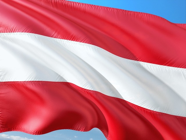 Prognoză privind un val de concedieri în Austria 1 val de concedieri prognozat in austria 675c878425462