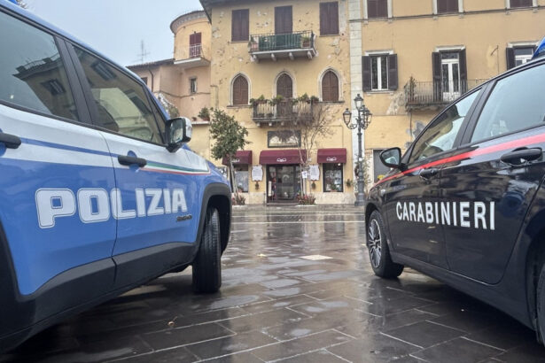 video adepti ai suprematiei albilor arestati in italia care era planul celulei neonaziste werwolf division 6750cb170d6ad