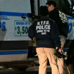 video crima infioratoare la metroul din new york un barbat i a dat foc unei femei care dormea 676947c2632cf