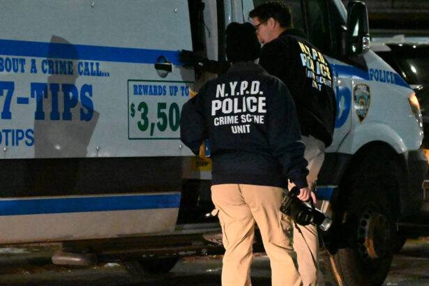 video crima infioratoare la metroul din new york un barbat i a dat foc unei femei care dormea 676947c2632cf