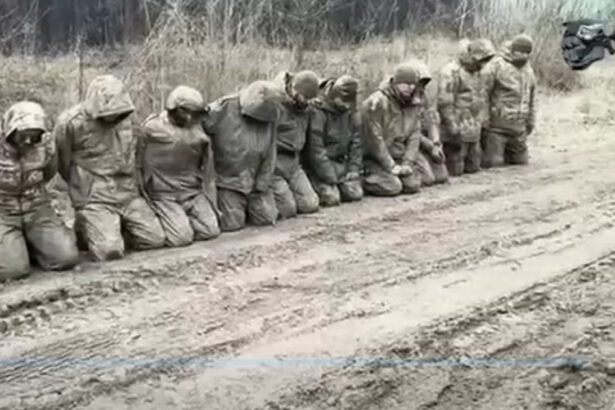 video fortele de operatiuni speciale ale ucrainei au cucerit pozitii rusesti si au capturat 12 prizonieri in regiunea kursk 6751e0eec972a