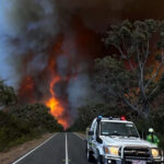 video incendiu devastator in australia vorbim despre un incendiu ce are mai mult sau mai putin marimea statului singapore 676e75031d1e0