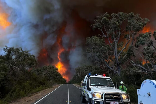 video incendiu devastator in australia vorbim despre un incendiu ce are mai mult sau mai putin marimea statului singapore 676e75031d1e0
