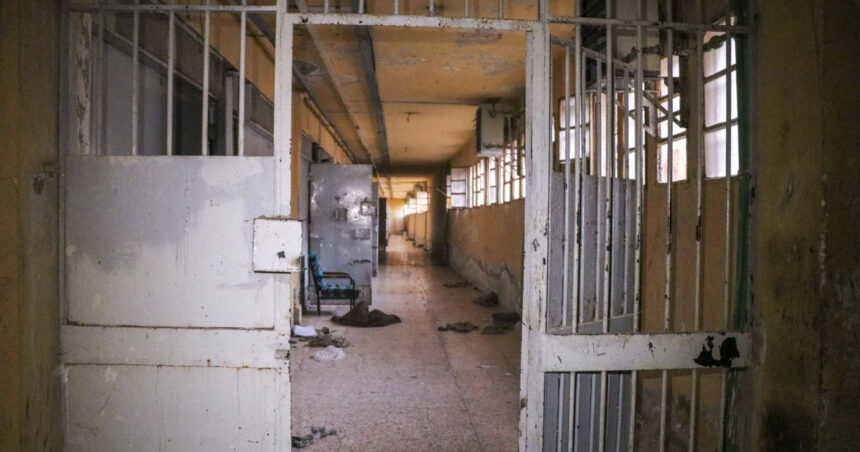 Siria a eliberat toți prizonierii din închisoarea-abator Sednaya, inclusiv copii mici încarcerați împreună cu mamele lor. 1 video siria a eliberat toti prizonieri din inchisoarea abator sednaya printre detinuti copii mici incarcerati impreuna cu mamele lor 67591dbca059e