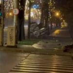 video soferul care a murit marti in timpul unei curse pe un bulevard din ploiesti avusese permisul suspendat cum l a primit inapoi 675ad2878cd17