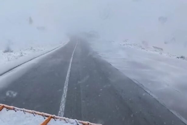 video sua mii de curse aeriene intarziate tornade mortale case si scoli grav avariate sau distruse 67713c793e80b