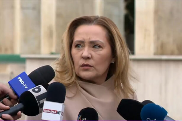 video tensiuni in coalitia pro europeana intalnire psd pnl udmr fara usr elena lasconi m am dus si le am spus ca e lipsa de respect 6761bb049e07d