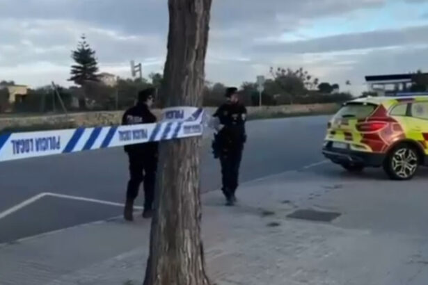 video un roman din spania si a ucis fosta partenera in fata copilului lor dupa cateva ore s a predat la politie cum s a intamplat totul 6759790973461