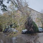 vijelie puternica la constanta mai multi copaci au cazut pe carosabil acoperisul unui restaurant a fost luat de vant 676c0bb13b5cd