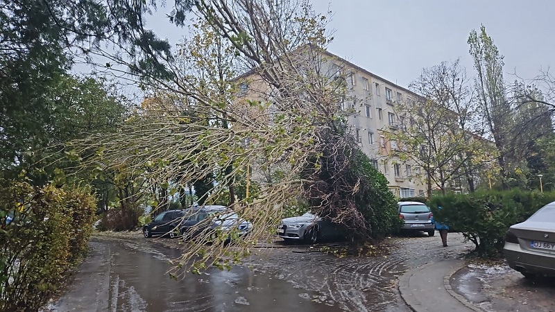vijelie puternica la constanta mai multi copaci au cazut pe carosabil acoperisul unui restaurant a fost luat de vant 676c0bb13b5cd