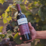 vinul zilei un malbec cu arome de prune coacaze negre cirese negre si capsuni savuros alaturi de branzeturi maturate carne rosie si paste bolognese 675000c4721d5