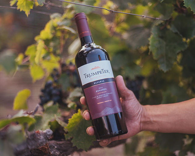 Vinul zilei: un Malbec cu arome de prune, coacăze negre, cireșe negre și căpșuni. Savuros alături de brânzeturi maturate, carne roșie și paste Bolognese. 1 vinul zilei un malbec cu arome de prune coacaze negre cirese negre si capsuni savuros alaturi de branzeturi maturate carne rosie si paste bolognese 675000c4721d5