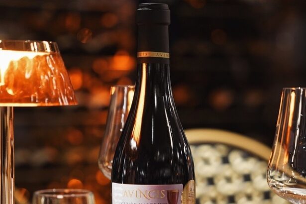 vinul zilei un rosu obtinut din soiul alutus un soi care se cultiva exclusiv la vila dobrusa in dragasani un vin remarcabil produs intr o serie limitata care celebreaza excelenta romaneasca 676bb02960cd4