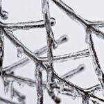 Temperaturile scad treptat în următoarele două săptămâni 3 vremea se raceste din ce in ce mai mult in urmatoarele doua saptamani 676016444f82f