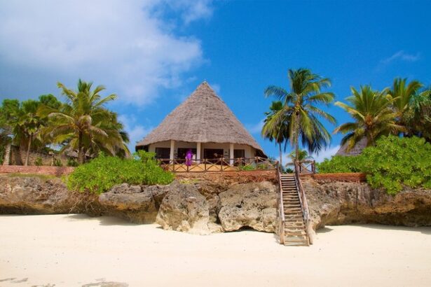 zeci de persoane care au platit unei agentii de turism pentru revelion in zanzibar depun plangere penala 677035e657118