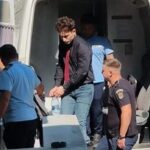 zi decisiva pentru vlad pascu la mangalia i ar putea fi majorata pedeapsa cu pana la patru ani de inchisoare 676909b5c46d2